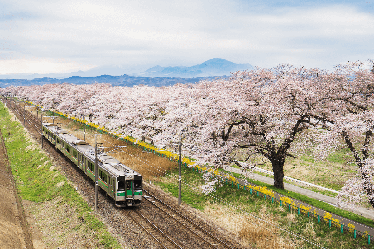 Japanese scenic view with train